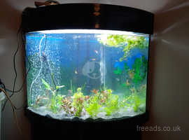 300L corner fish tank.