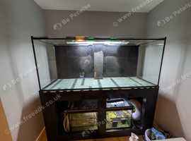 Large fish tank