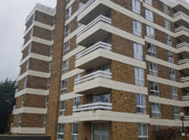 Large Spacious Double Room for Rent in Putney / Barnes Area.