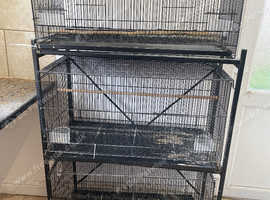 Bird cages