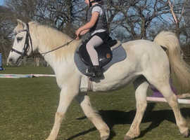 12.3 first ridden mothers dream