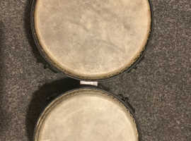 Bongo Drums