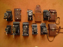 Vintage folding cameras