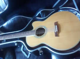 Electro acoustic Ibanez guitar tree of life