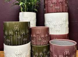 WANTED: Ceramic plant pots-Large , Medium ,small