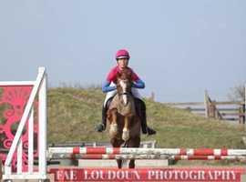 Super fun Second pony