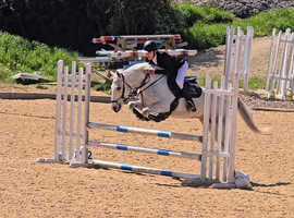 Super SJ Mother Daughter share pony