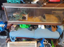 2 snakes and vivariums