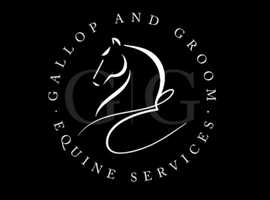 Equestrian freelance Groom