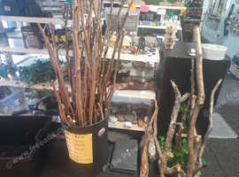 Branches