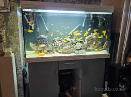 Aquariums / Fish Tanks in Monmouth | Find Fish Food and 