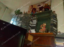 large aquarium fish tank