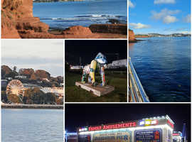 HOLIDAY LET PAIGNTON