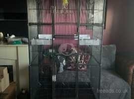 Large bird cage with toys, bowls etc