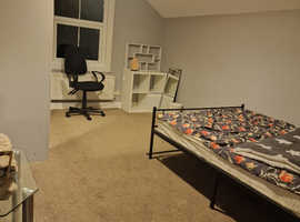 Large room  AVAILABLE NOW