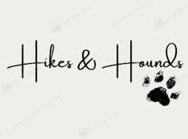 Hikes & Hounds