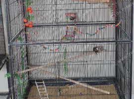 14 Finches Large Indoor Flight Cage in Hull HU7 on Freeads Classifieds ...