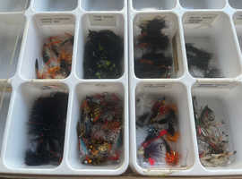 TROUT  FISHING     FLIES