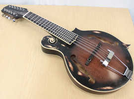 Gold Tone Manditar 12-String Mandolin Guitar - A Real Super Bargain !!!