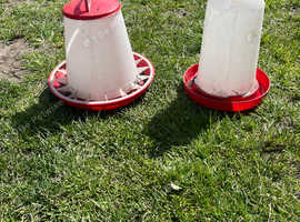 Chicken Feeders and Drinkers