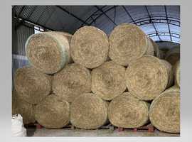 Seed Hay and Haylage for Sale 2023 harvest