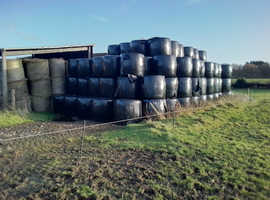 Haylage for sale