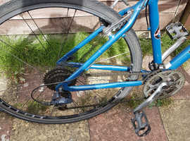 Hybrid bicycle