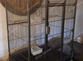 Bird cage