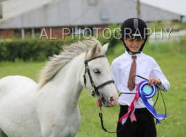 RHYDYFELIN STAR GIRL kids pony