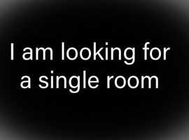 I am looking for a single room.