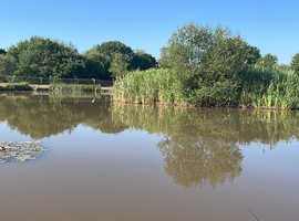 Fishing tuition in York area