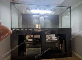 Large fish tank