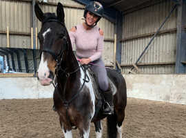 Super summer project mare
