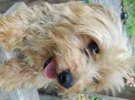 For sale