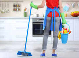 Cleaning and shopping services