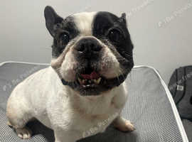 9 year old loving and energetic girl