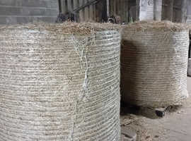 Hay haylage and straw available
