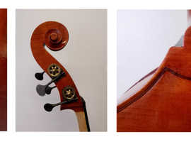 Double basses