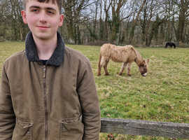 Stable work wanted