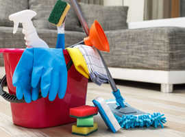 House cleaner required