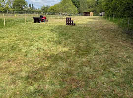 Free grazing for one pony