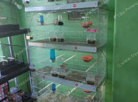 Wire double breeding cages with LED lighting