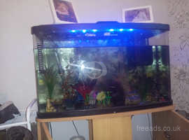 90 ltr fish tank