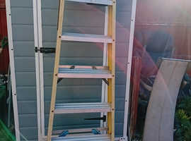 Werner 8 rung