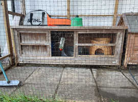 Petface double best sale rabbit hutch