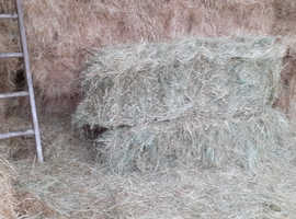 Meadow hay in small bales,