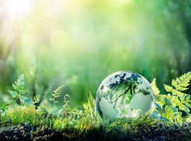 Carbon Neutral Consulting & Sustainability | Carbon Neutral Group