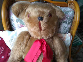Happy Teddy Bear seeks loving home!