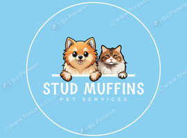 Mobile Pet Microchipping - Torbay - Teignbridge