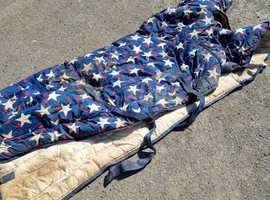 Free rug and headcollers